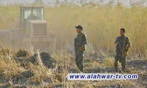 قوة من الحشد الشعبي تنفذ عملية أمنية في الطارمية